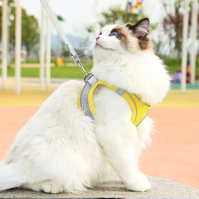 coleira para gatos ajustáveis